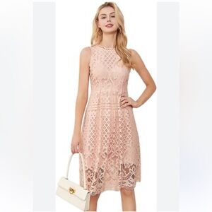 VELlSAR Elegant Sleeveless lace flair fit soft peach Lace Dress Size Large